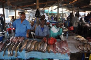 Marché aux poissons
