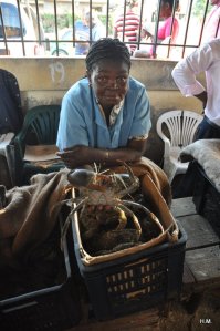 Marché aux poissons