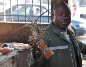 Marché aux poissons