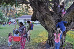 Anniversaire d'Alfonso