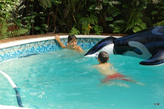 DSC_2012-12-08_07 h 58 mn 36