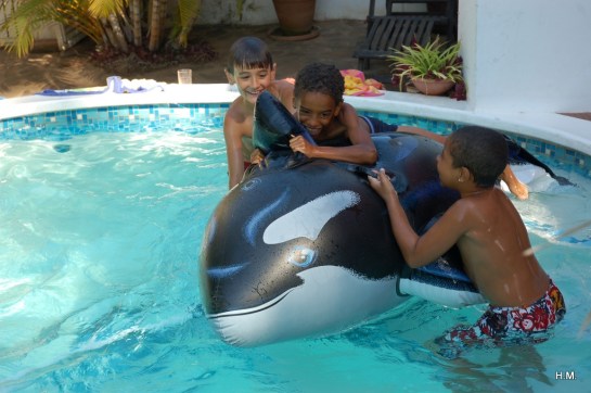 DSC_2012-12-15_15 h 24 mn 26