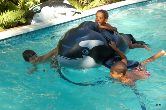 DSC_2012-12-15_15 h 24 mn 49