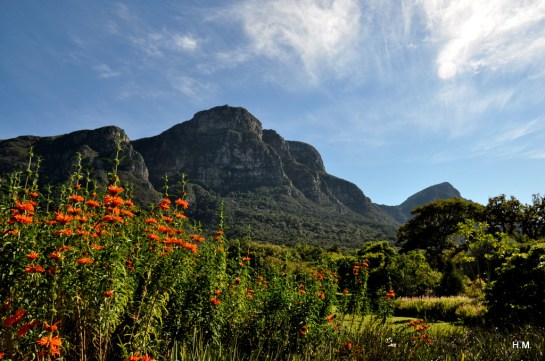 2013-04-25 10.28.39DSC_0217