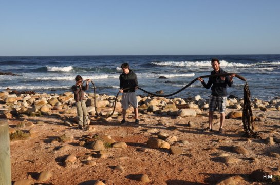 2013-04-29 16.52.38DSC_0122