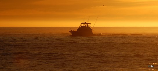 2013-04-30 18.00.57DSC_2435