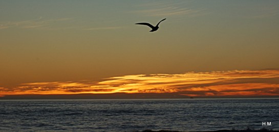 2013-04-30 18.15.35DSC_2448