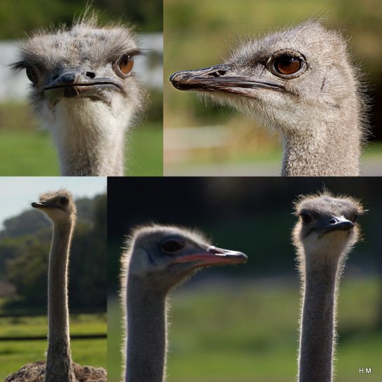 Avril 2013_Le Cap1-001