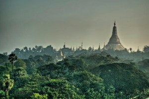 DSC_0214__1__2_tonemapped