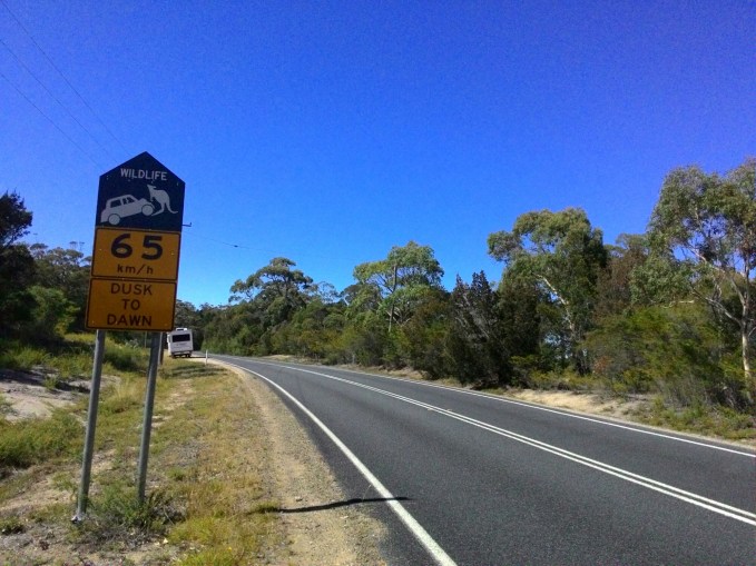 P_20151228_061843.jpg image