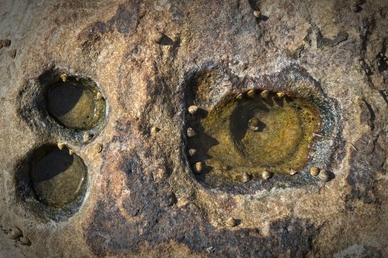 Tasmanie_2015_044 copy