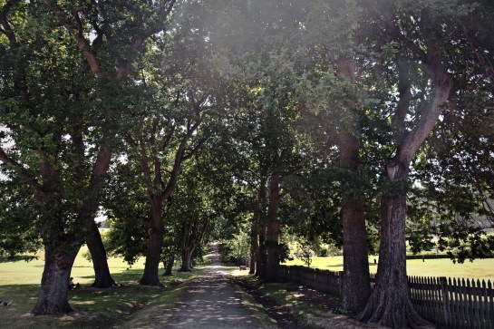 Tasmanie_2015_Numéro de série à 3 chiffres_23 copy