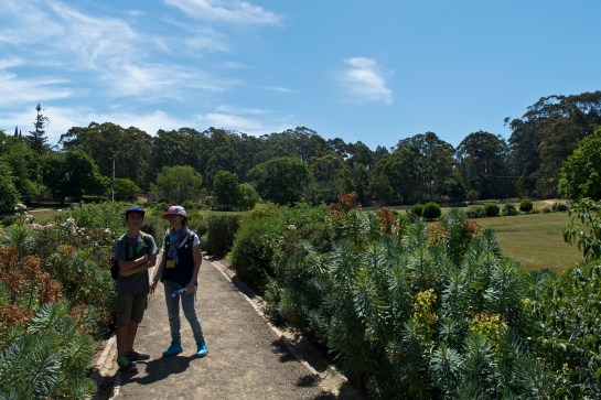 Tasmanie_2015_Numéro de série à 3 chiffres_24