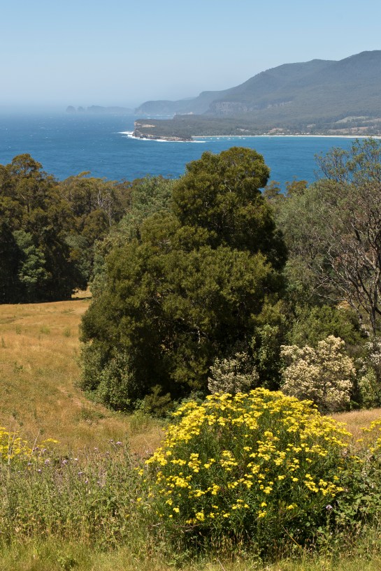 Tasmanie_2015_Numéro de série à 3 chiffres_7